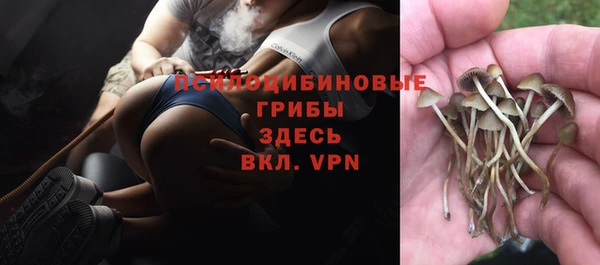 ПСИЛОЦИБИНОВЫЕ ГРИБЫ Алексеевка