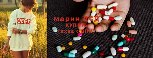 ПСИЛОЦИБИНОВЫЕ ГРИБЫ Алексеевка